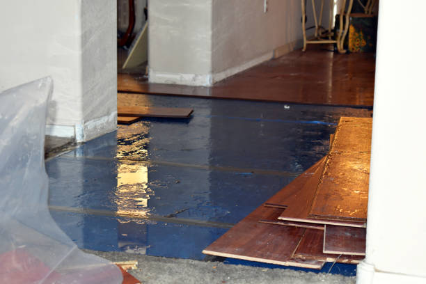 Professional Burst Pipe Cleanup technician working in Brimson, MN